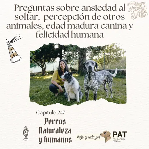 Preguntas sobre ansiedad al soltar, percepción de otros animales, edad madura canina y felicidad humana