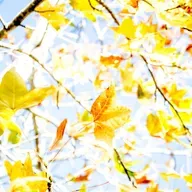 Mediumship Transmission from the Mother of Madam. S16. Ep 5.