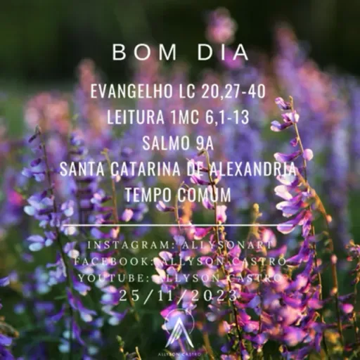 Palavra do dia - Lc 20,27-40 - 25/11/23