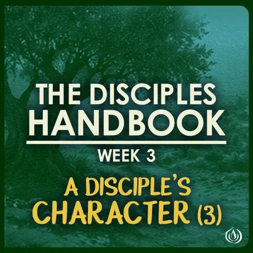 The Disciples Handbook Week 3 | Ps Mark Scholtz | 21 June 2026