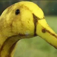 Cuestionarte