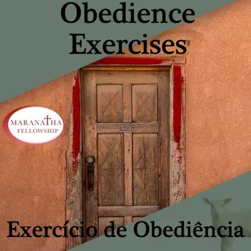 MFJ - Obedience Exercises (Exercícios de Obediência)
