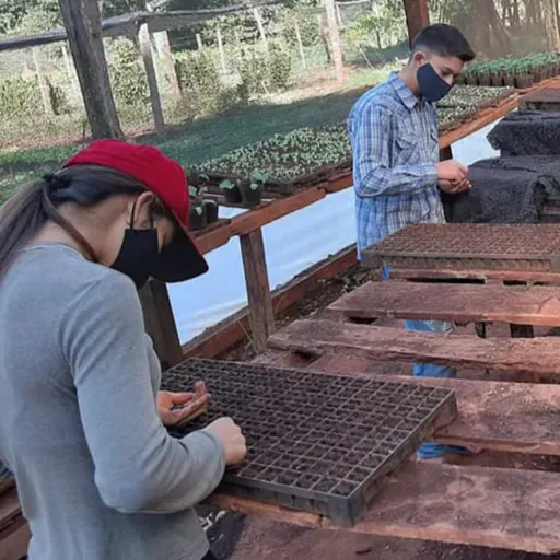 Desafíos para la inclusión educativa, la transitabilidad y el derecho al trabajo de la juventud rural