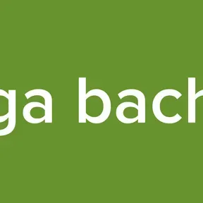 mega bachata
