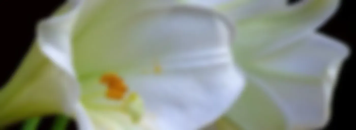 UN CURSO DE MILAGROS Y AMOR con Claudio