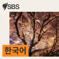 "가격 올리고 다시 내렸다"...콜스 '다운 다운' 허위 할인 법정 패소