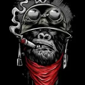 Comando vermelho