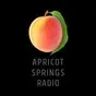 Apricot Springs Radio