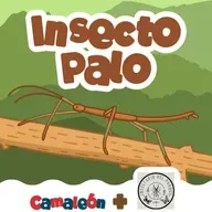 Insecto palo: ramas que caminan