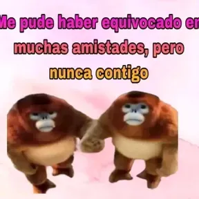 PANDASG