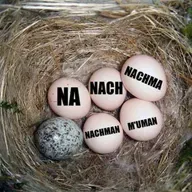 Likutey Moharan - Parte 1 - Torá 25