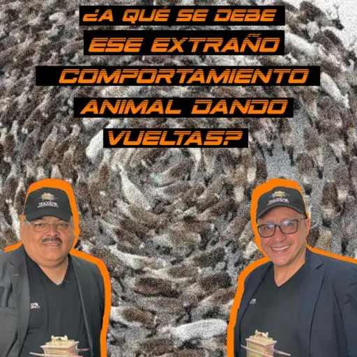 ¿A QUE SE DEBE ESE EXTRAÑO COMPORTAMIENTO ANIMAL DANDO VUELTAS?