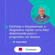 Erlichiose e Anaplasmose: o diagnóstico rápido como fator determinante para o prognóstico da doença