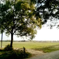 Past. Nicol Giancarlo Ciano - Evangelium EDAP 2025-11-26 22:25