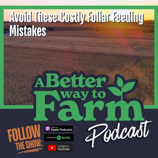 376: Avoid These Costly Foliar Feeding Mistakes