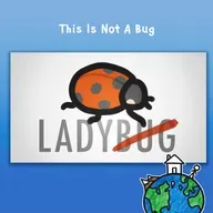 This Is Not A Bug