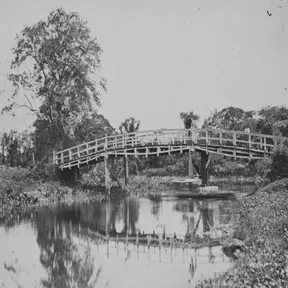 Poku suriname