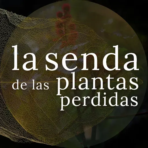 Remedios infernales en simiente luminosa: Ricinus communis {SPP 084}