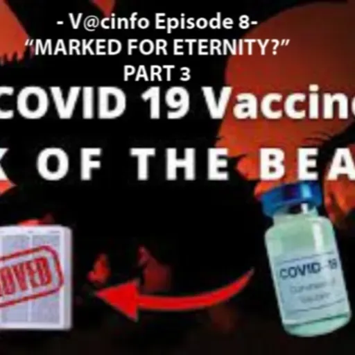- V@cinfo Episode 8 - "Marked for Eternity?" Part 3