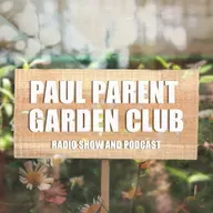 Ep. 206 Pruning Paniculata Hydrangea
