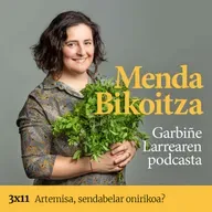 Menda Bikoitza 3x11: Artemisa, sendabelar onirikoa?