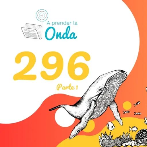 Episodio 296 - Parte 1: Sí, ¡tenemos derechos sexuales y reproductivos!