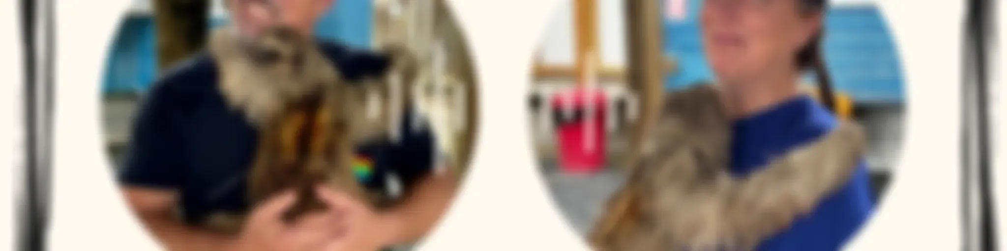 Hey, are you still there?: Life at the intersection of Marriage, Family, Careers, and Ministry.