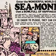 Recalling boys' magazines of yesteryear