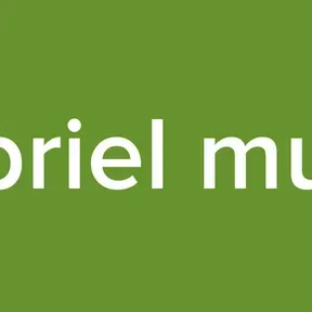 Gabriel muniz