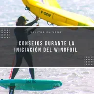 61 - Consejos en los inicios del WING