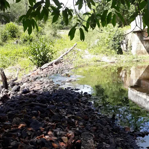 Ponte da Limeira