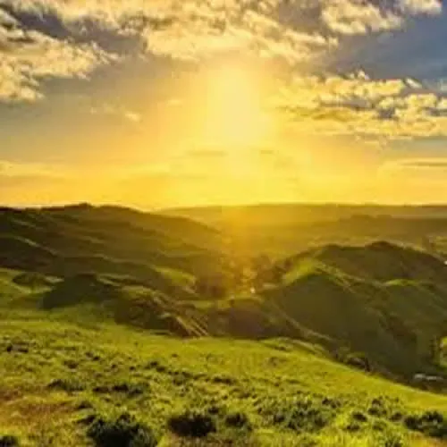 Cuchara-diaria-dic.4.21.mp3