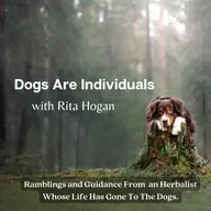 The Hidden Weight of Pet Loss, Grief + Regret | Short