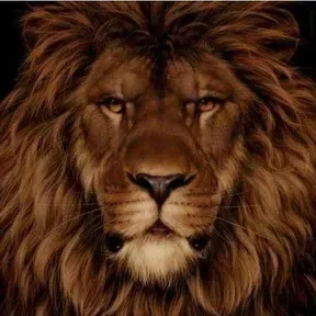 Louvores ao Filho de Davi