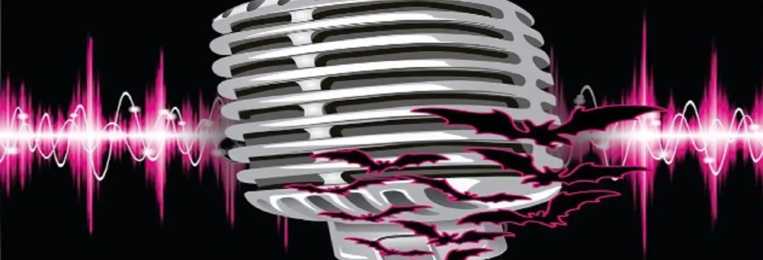 Voces en mi Cabeza Radio