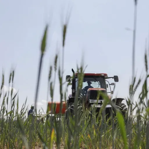 How the farm bill became the everything bill