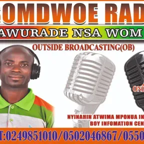 ASOMDWOE RADIO 95.1MHz - NYINAHIN