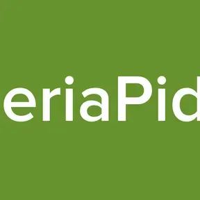 NigeriaPidgin