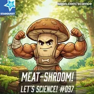 Meat-Shroom!