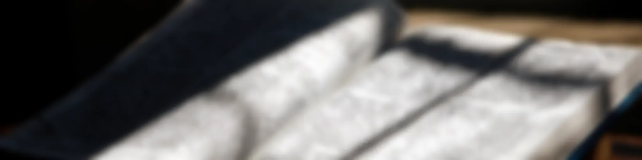 A la Luz de la Palabra