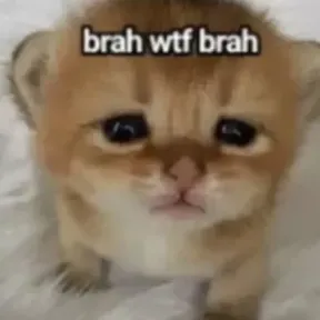 braaaah