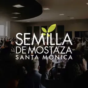 Semilla Santa Mónica