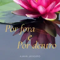 Por fora e por dentro (AudioLivro completo)