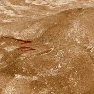 ¿Vida en Venus? Una posibilidad de la que sabremos más en 2025