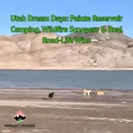 Utah Dream Days: Paiute Reservoir Camping, Wildfire Scoopers & Real Road-Life Wins