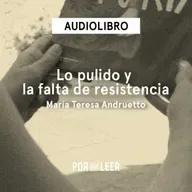 Lo pulido y la falta de resistencia - María Teresa Andruetto