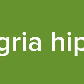 humgria hip hop