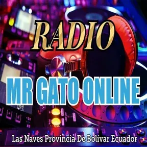 MR GATO ONLINE