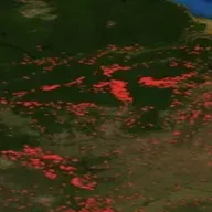 24-08-2019 Incendios, “octavas karma” y reforestación de la biosfera