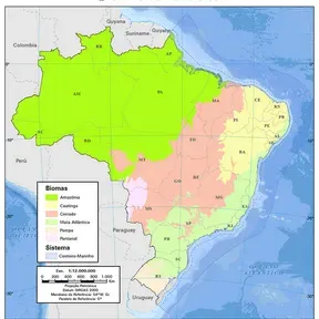 NOVA  ESTAÇÃO